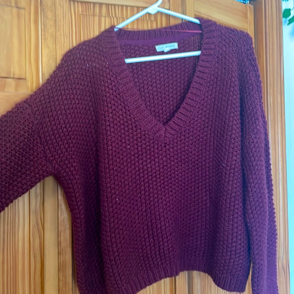 Pacsun (la hearts) V-neck sweater